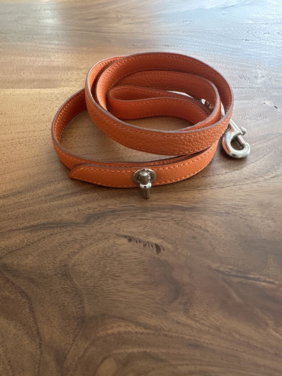 halsband biothane Wasserfestes Biothane-Hundehalsband - Für Abenteuer bereit!