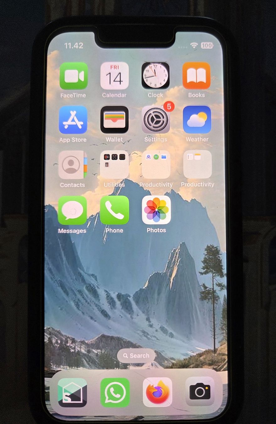 Apple Telefoni cellulari / Smartphones: Apple iPhone 13 mini + Airpods 3rd gen, + charger – Usato da Basel venduto da _Mace_ 5