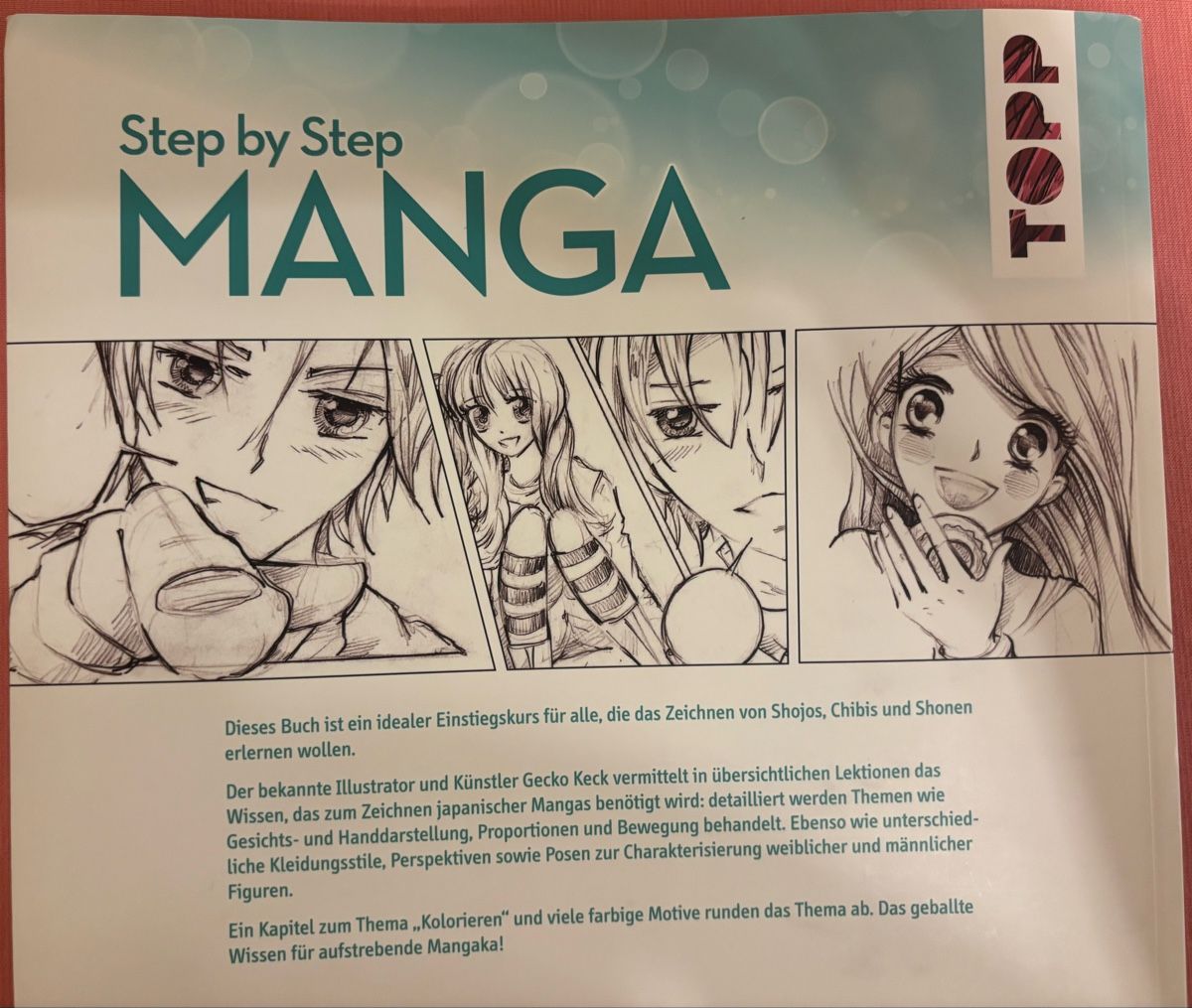 Libri: Manga Step By Step Anleitung – Nuovo e nell'imballaggio originale da Andelfingen venduto da Good_Quality 1