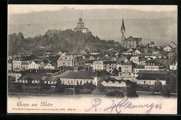 Uster, Teilansicht mit Bergkette aus der