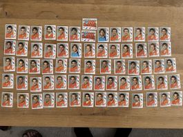 Panini WM 2006 Niederlande Van Nistelrooy Robben