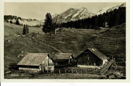 Steinalp - Huethütte