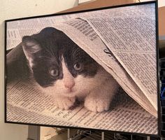 Puzzle Katze wahrscheinlich Ravensburger