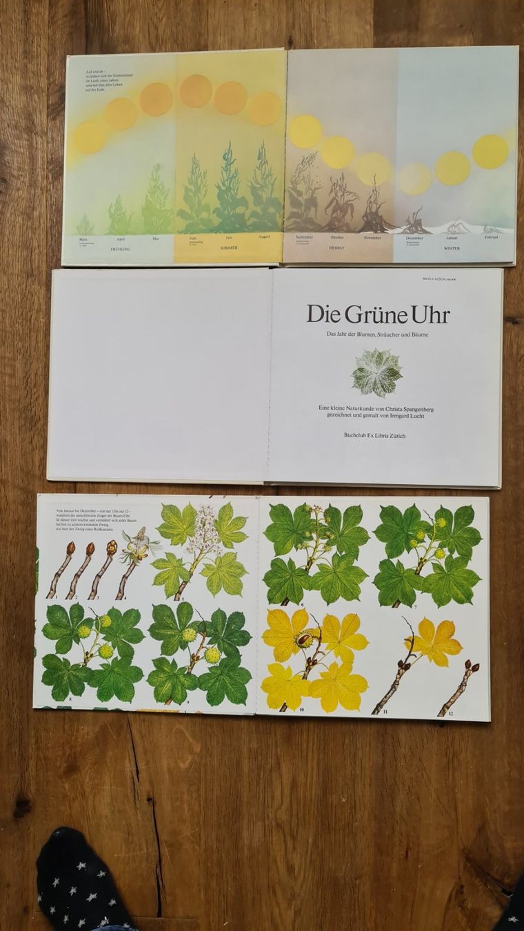 Libri: Die uhr bücher set – Usato da Wittenbach venduto da Tigerlili 2