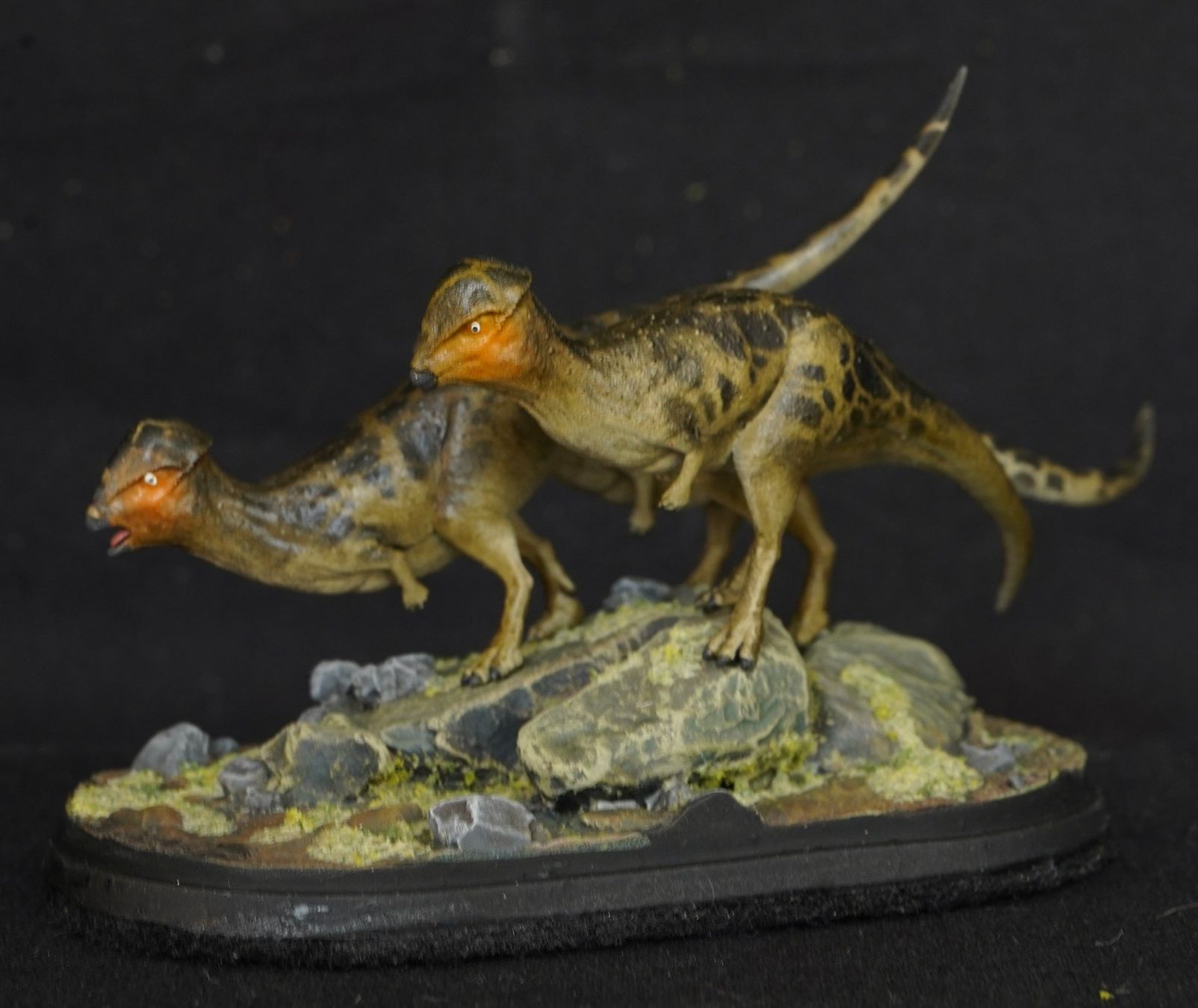 Statuette: Prenocephale 1:35 3D printed Model Dinosauria – Usato da Selzach venduto da Ataraxus 2