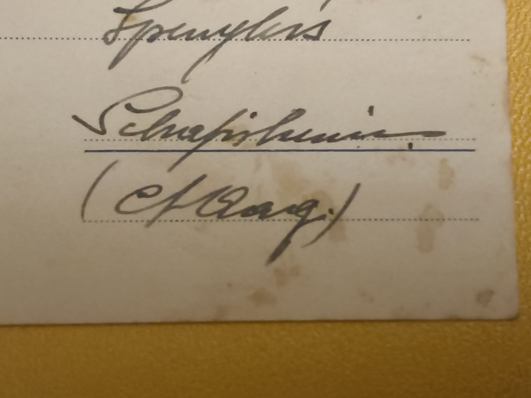 Cartoline postali: Antike Ansichtskarte Bundeshaus Bern  – Usato da Hallau venduto da histoiremerveilleuse 4