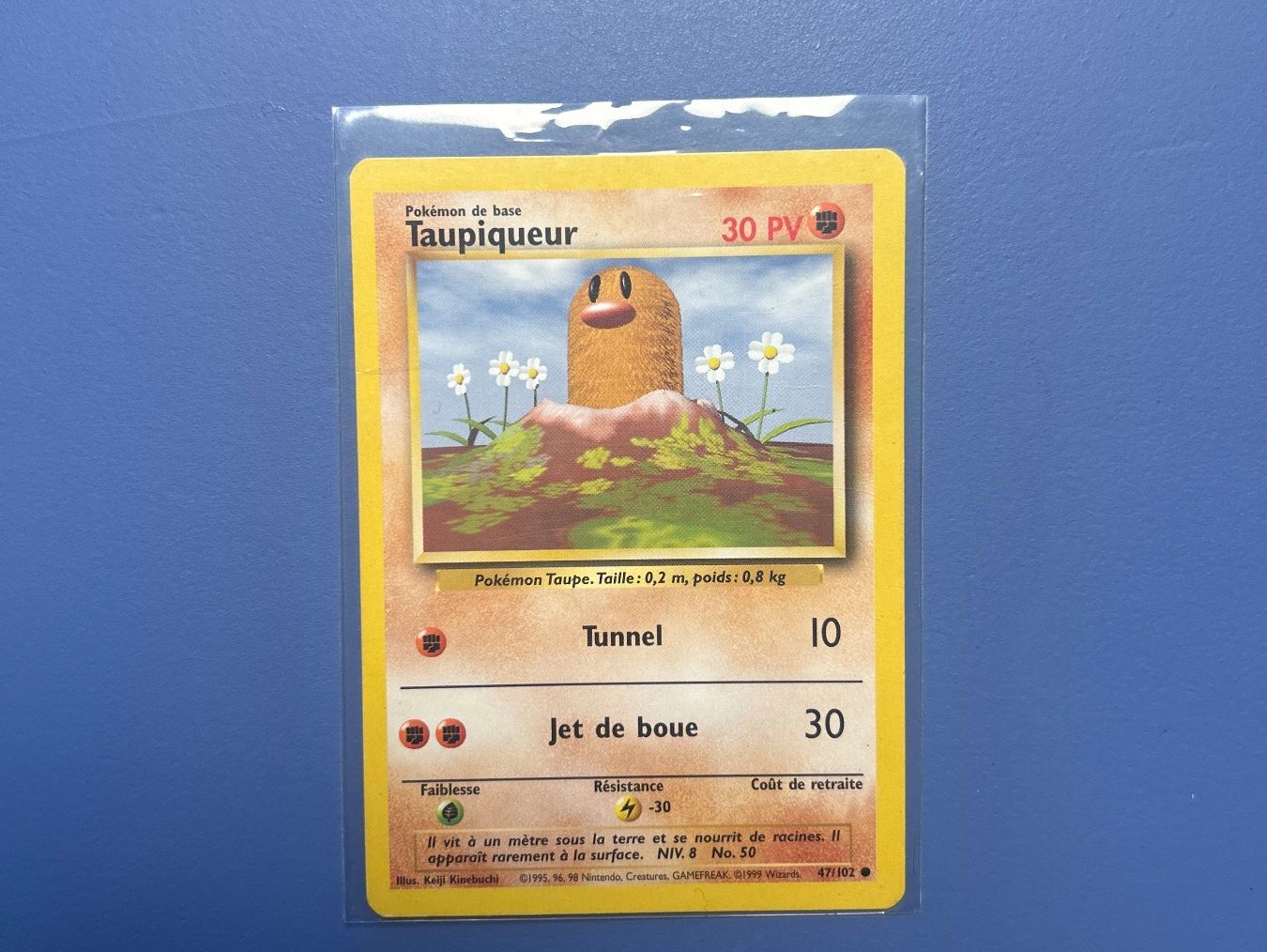 Pokémon Carte collezionabili: 1999 Taupiqueur 47/102 Set de base FR – Usato da Schlieren venduto da happymerchant64