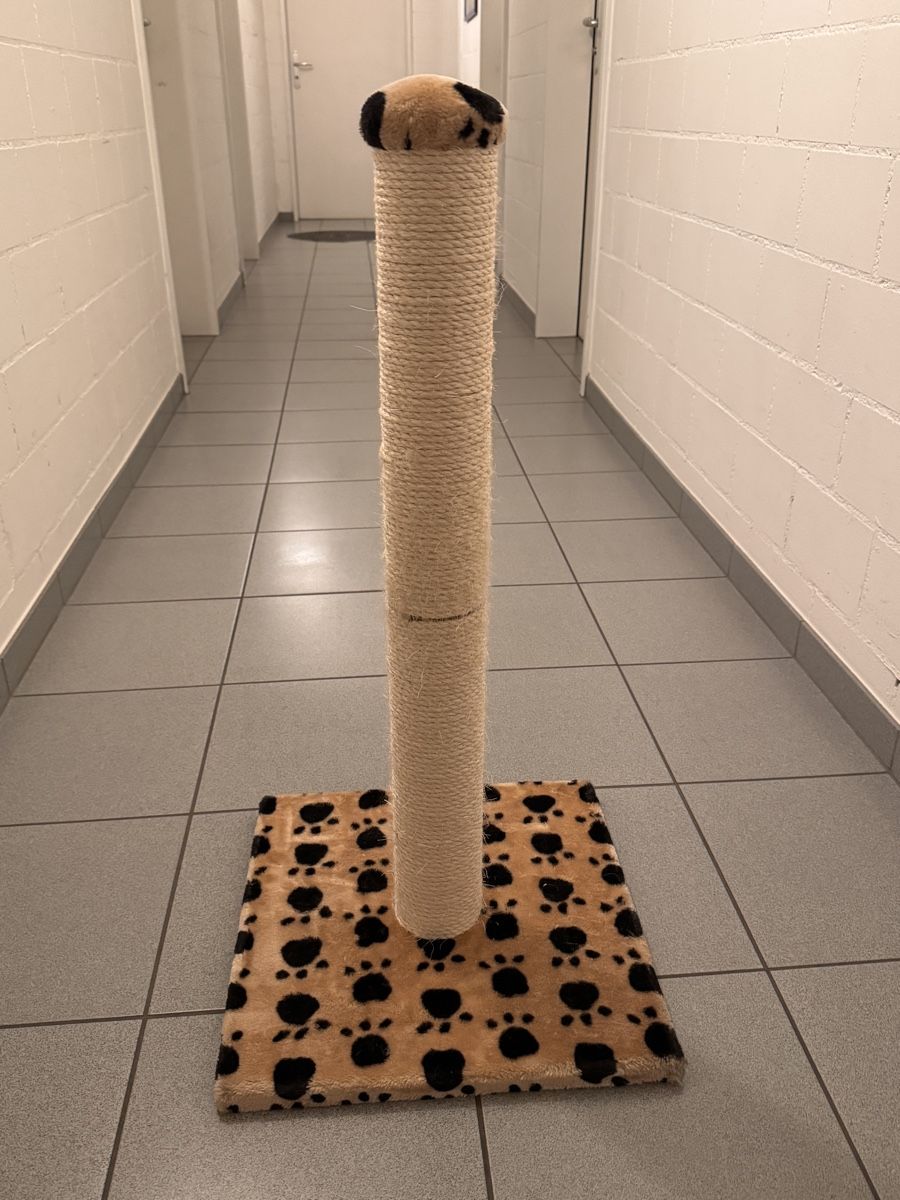Arbres à chats: Kratzbaum – D'occasion à Dietlikon par Twix_
