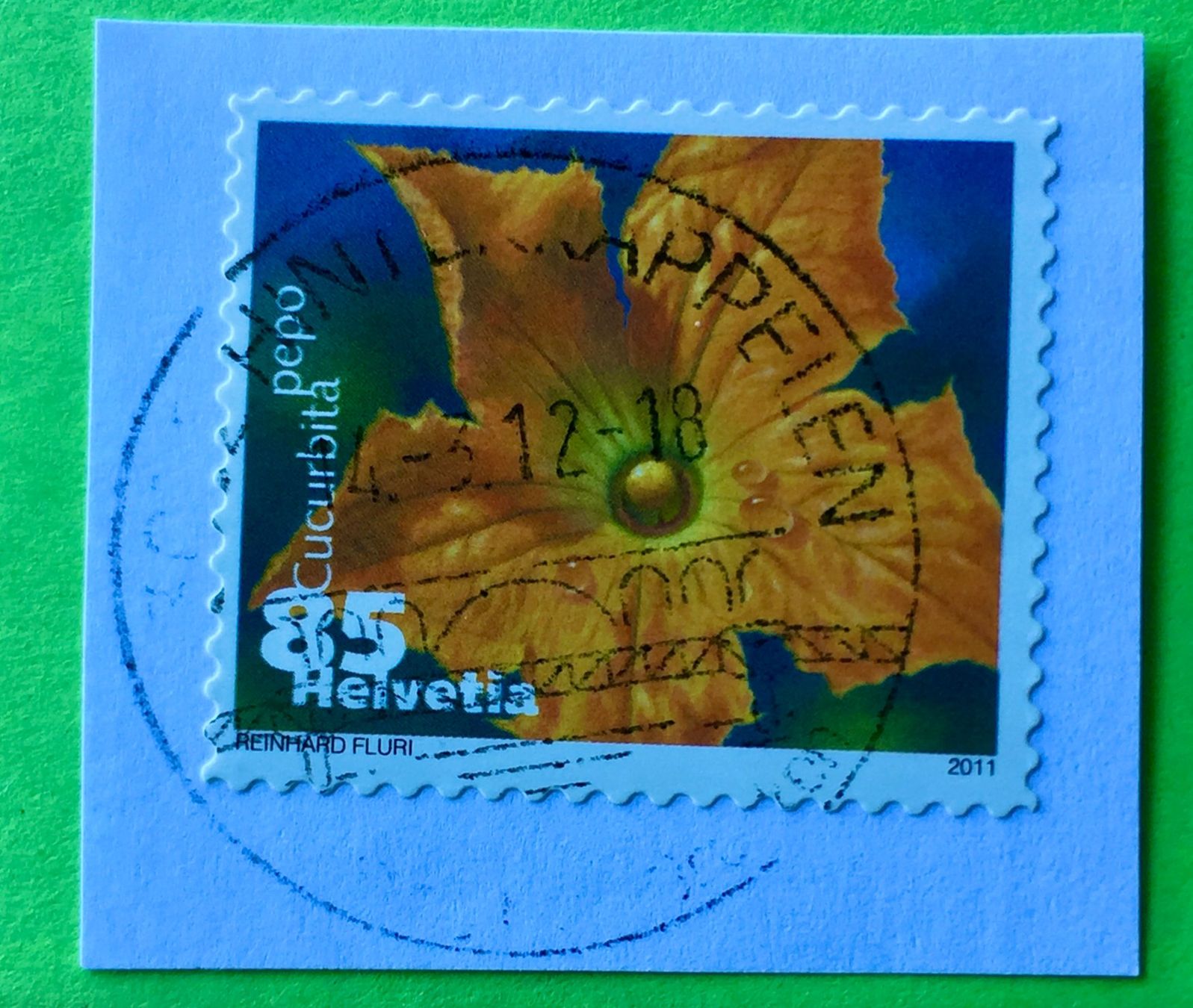 Tutti i francobolli: Nr.1376 Dauermarken Gemüseblüten 2011 mit Stempelt Zucchini – Usato da Aarau venduto da Billa007