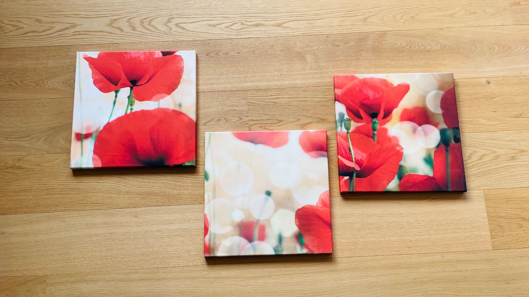 Poster & Bilder: Mohnblumen Wandbild 3er Set – Gebraucht aus Neuhausen von rut_c5dk