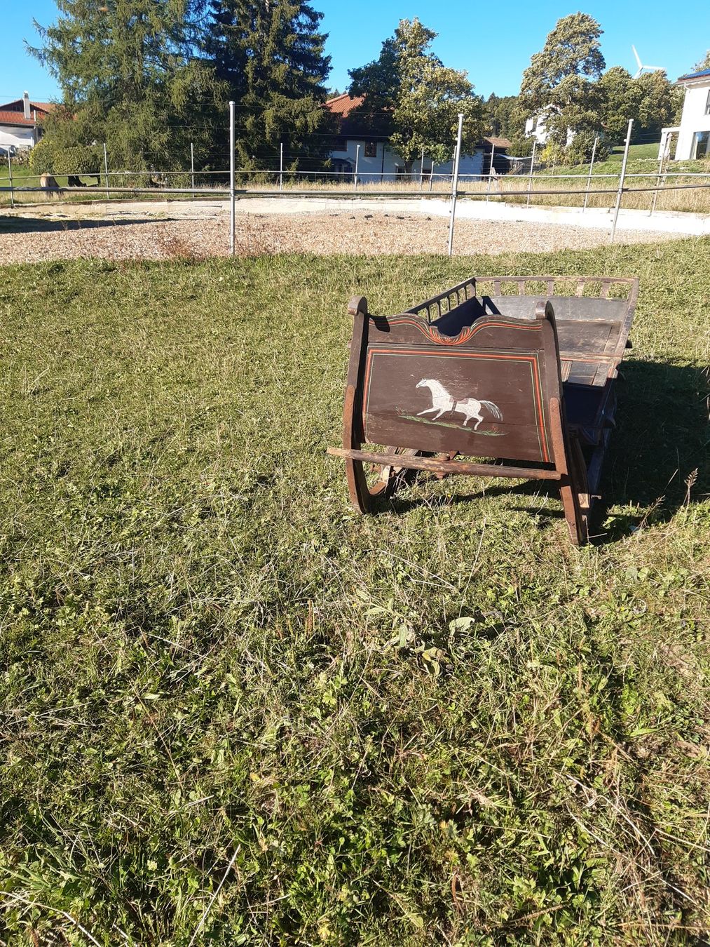 Carrozze: glisse pour cheval – Usato da Les Breuleux venduto da Lippiz 1