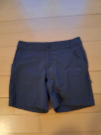 The  North Face Wander Shorts