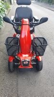 Mobil, Elektromobil, Seniorenmobil, E-Scooter
