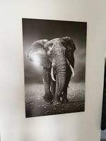 Wandbild mit Elefantenmotiv