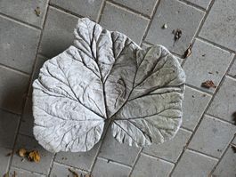 Beton Schale Gefäss Blatt Vogel Tränke