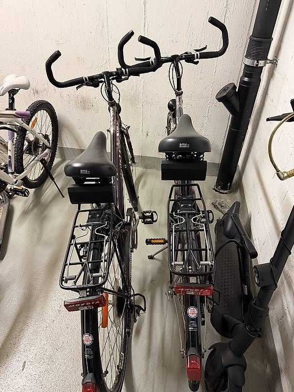 Shimano Biciclette: Frauen und Männer Velo – Usato da Rümlang venduto da dra_mt98 3