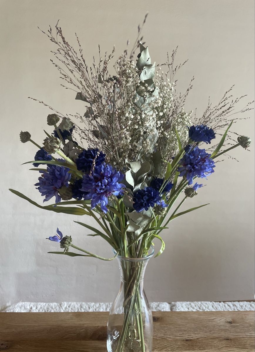 Piante & sementi: Kornblumen  – Usato da Freidorf TG venduto da ibipatria