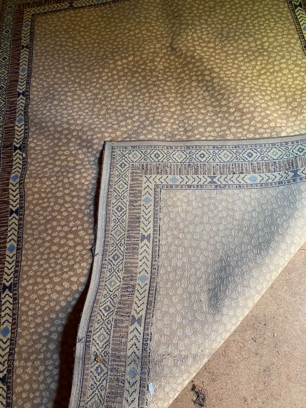 Teppiche: Teppich 165x230cm – Gebraucht aus Bern von kat_d9p5 2