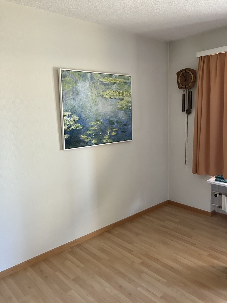 Foto & Immagini: Wandbild, Holzrahmen – Usato da Lüsslingen venduto da Gaschi 2