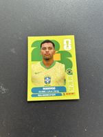 Panini BRA 15