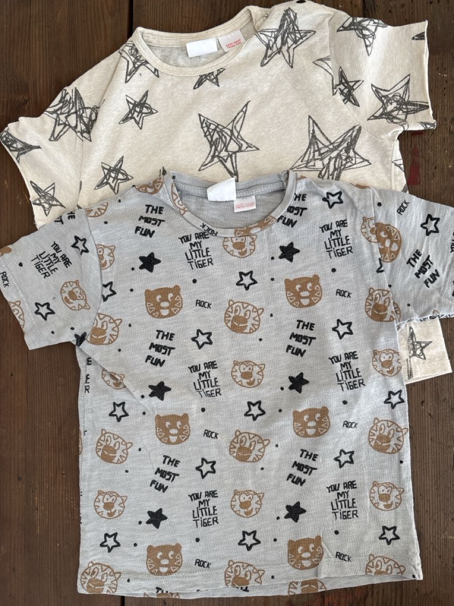 Zara Camicie, T-shirt & Polo: 2 Shirts Zara Gr 110 – Usato da Mörschwil venduto da Mibasel