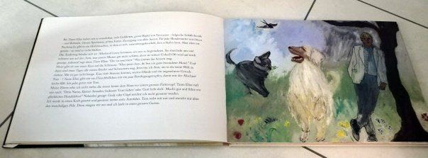Bücher: Amadeo - Der Windhund – Gebraucht aus Wetzikon ZH von strubeli024 3
