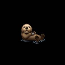 Profile image of Zappelphilip