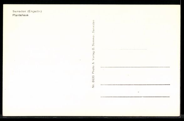 Cartes postales: AK Samaden /Engadin, Plantahaus – D'occasion à Berlin par bartko-reher 1