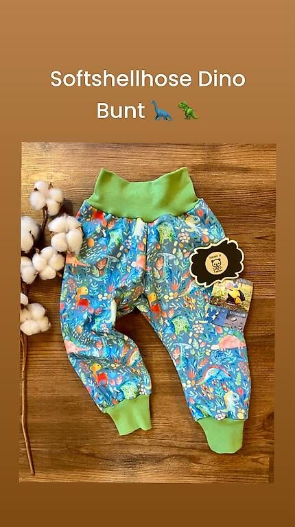 Pantaloni: Neue selbstgenähte Softshellhose Dinos bunt – Nuovo e nell'imballaggio originale da Aettenschwil venduto da holz93