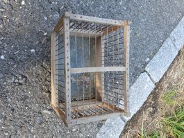 Transportkäfig, Wachteltransportbox, Vogeltransportbox