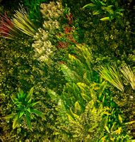 1 m2  dekorative Gras Fliese "ARTIFICIAL GRAS" 100 x 100 cm