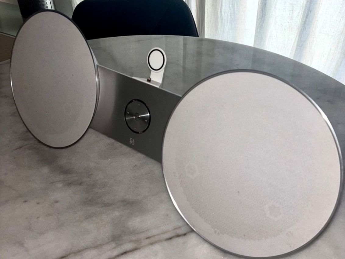 Bang & Olufsen Casse acustiche: Bang & Olufsen Beoplay A8 Lautsprecher – Usato da Mols venduto da armanwalensee 1