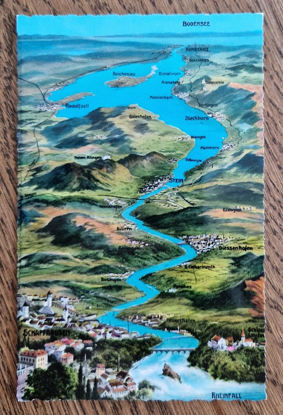 Cartoline postali: Bodensee, Vogelschaukarte – Usato da Ebikon venduto da Donar50