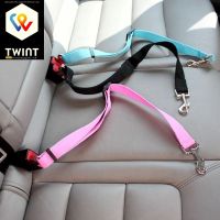 📌 Hundeleine für ins Auto