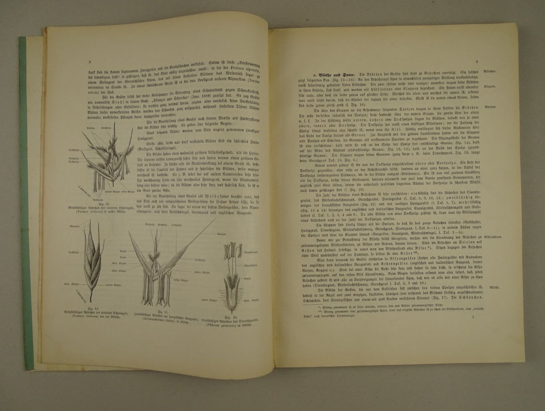 Libri: DIE BESTEN FUTTERPFLANZEN, 1892 – Usato da Grüningen venduto da Kartensammler 3
