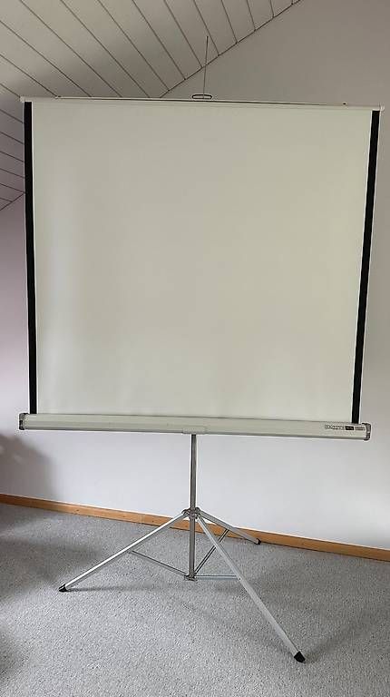 Schermi: Da Lite Leinwand – Usato da Aesch BL venduto da fan_59pb