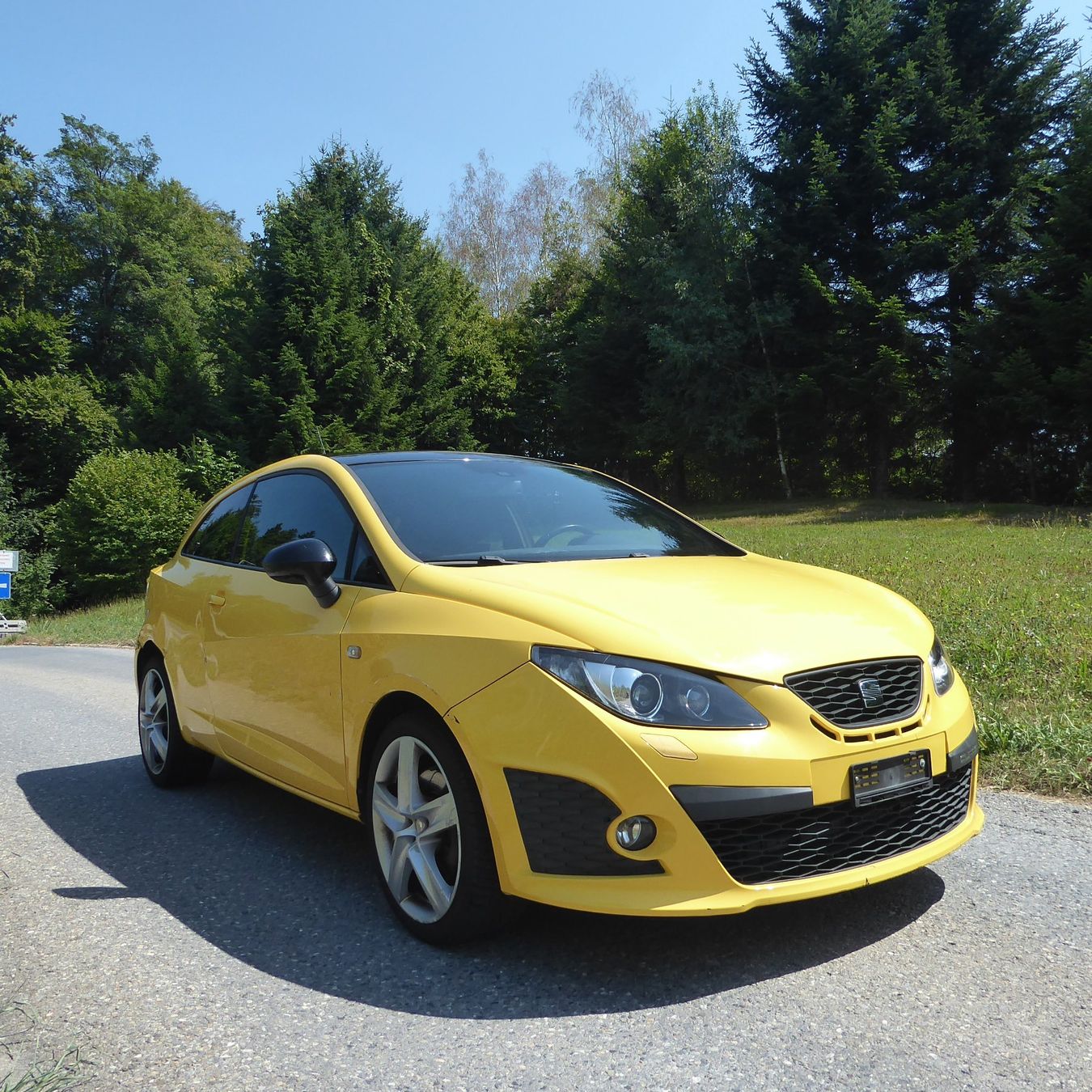 Seat Automobili: Seat Ibiza Cupra FR – Usato da Gebertingen venduto da freaks02 1