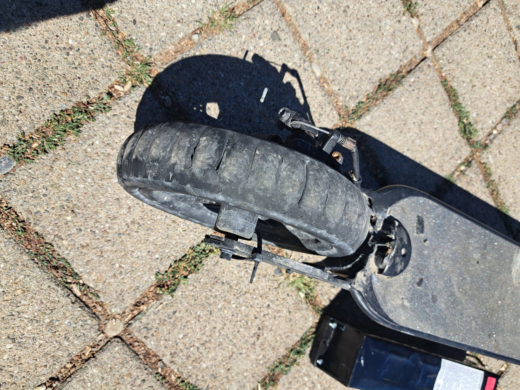 Kickboard: E-Scooter E-Trottinette Bastler defekt – Difettoso da Hallau venduto da ZIEGLER-Motorhandel 4