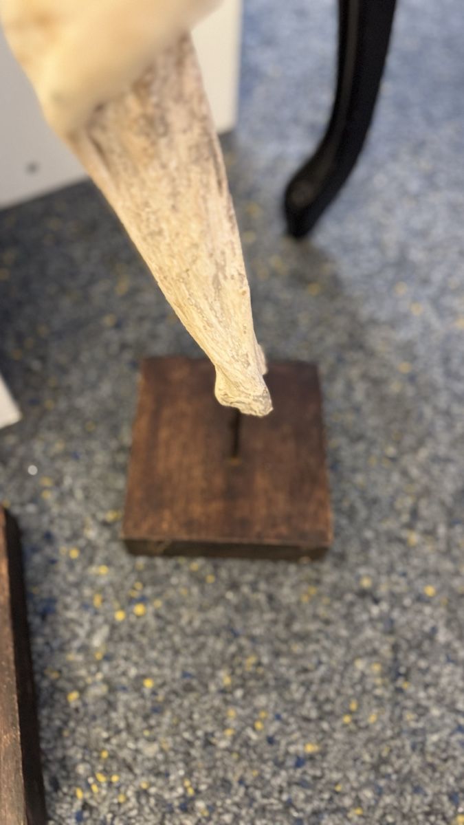 Tutte le decorazioni: Holz Deko – Nuovo (secondo la descrizione) da Uster venduto da AliciaMiller 1