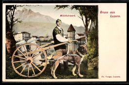 Luzern, Milchfuhrwerk mit seinem Hunde-G