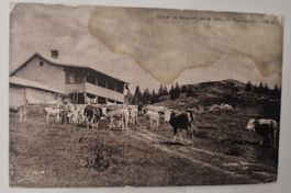 Chalet et Sommet de la Dent de Vaulion belebt RRR