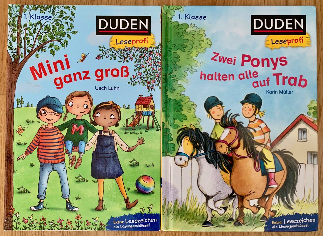 Libri: 2 Bücher Duden Leseprofi 1. Klasse – Usato da Bremgarten b. Bern venduto da .Anita.