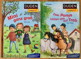 2 Bücher Duden Leseprofi 1. Klasse