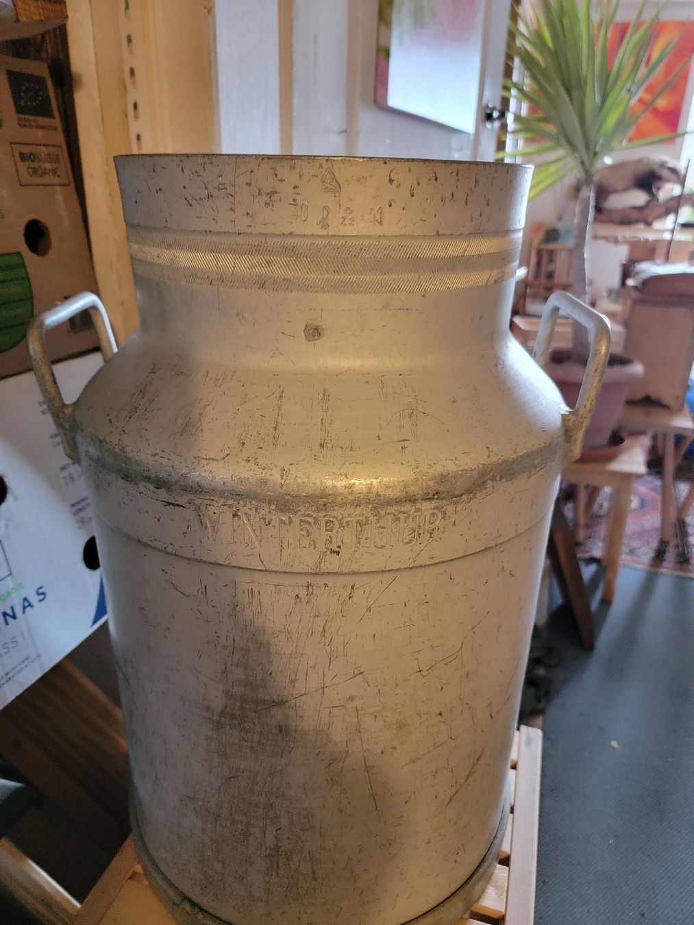 Altro per la casa: Grosse Milchkanne – Usato da Sils im Domleschg venduto da platin01 3