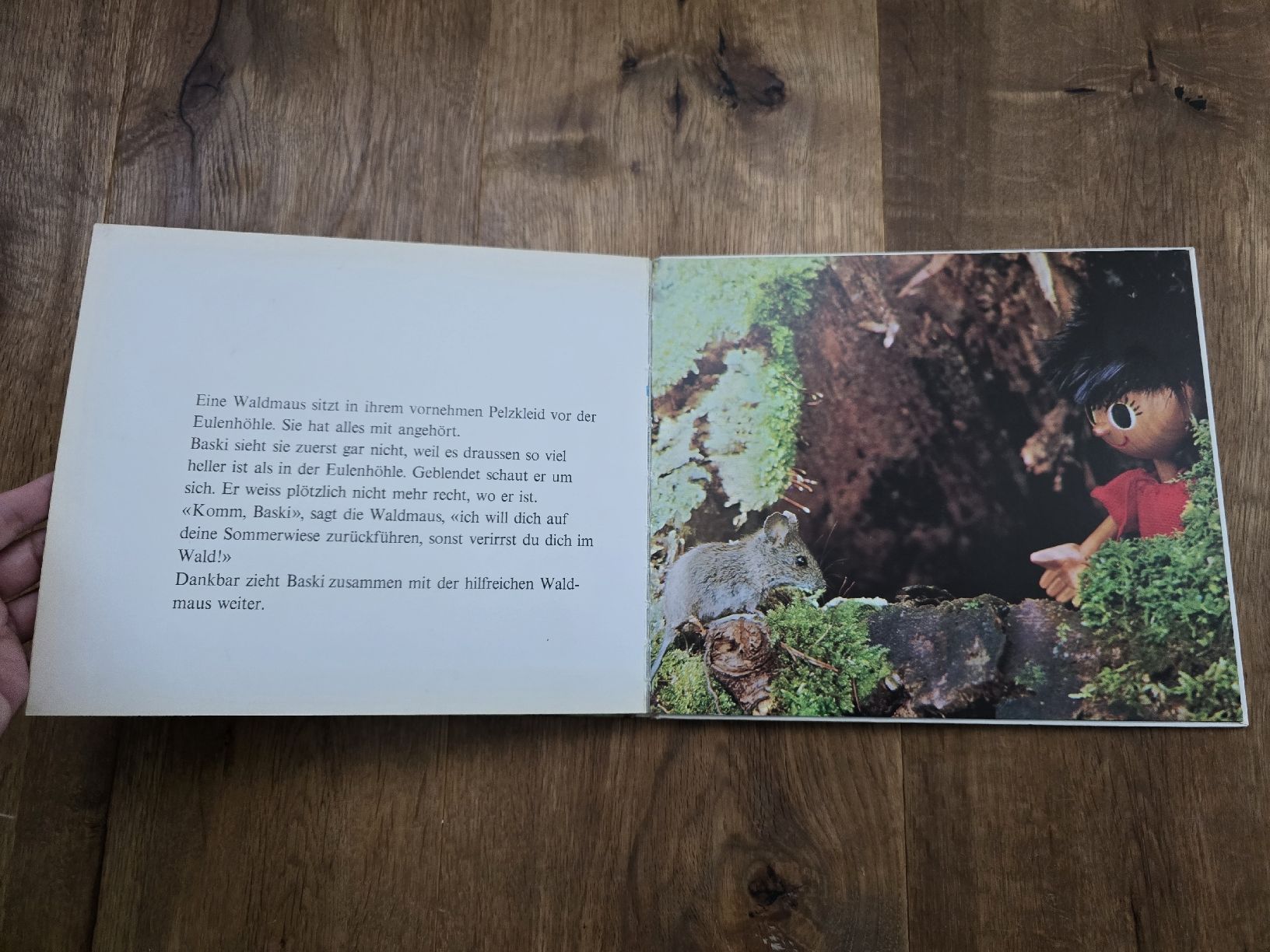 Libri: buch baski – Usato da Wittenbach venduto da Tigerlili 7