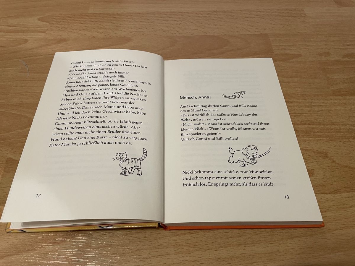 Libri: 2 Conni Bücher – Usato da Chur venduto da Tsambiko 8