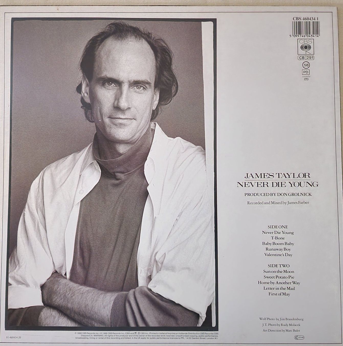 Dischi in vinile: James Taylor LP – Never Die Young – Usato da Root venduto da atelier22 1