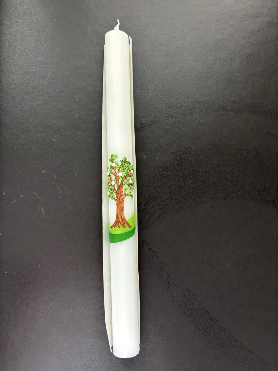 Kerzen: Taufkerze mit Baummotiv, neu in Originalverpackung – Neu und originalverpackt aus Ruggell von aderso 1