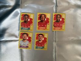 Schweiz Panini WM 2026