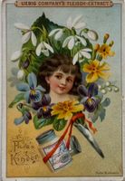 Litho, Liebig, Werbung, Flora, Blumen,  Jugendstil